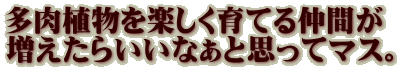 �����A�����y������Ă钇�Ԃ� �������炢���Ȃ��Ǝv���ă}�X�B